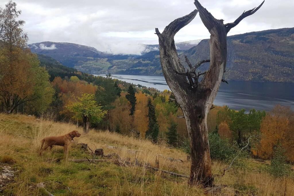 Nordfjordcabins Utvik Екстериор снимка